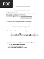 Portativul Si Notele Muzicale PDF | PDF