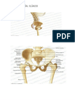 RESÚMEN ILÍACO(1)