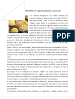 alimentos_transgenicos.pdf