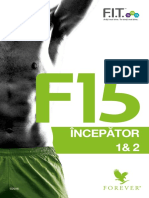 brosura-F15-Incepator1.pdf