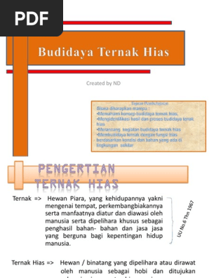 50+ Gambar Hewan Ternak Hias Gratis Terbaik
