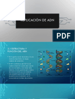 Replicación de ADN