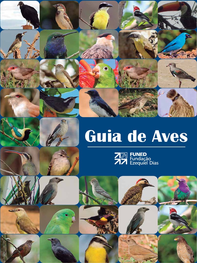 Guia de Aves da Funed: Diversidade e Preservação | PDF | Aves | Tetrápodes