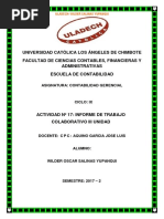 Actividad Nº 17 Informe de Trabajo Colaborativo III Unidad -W