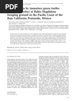 Download Lopez-Mendilaharsu Et Al 2008 Diet Chelonia Mydas by tortugamarina  SN3666275 doc pdf