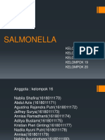 Salmonella_Kel 16-20 (1)