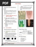 Plant Tissue