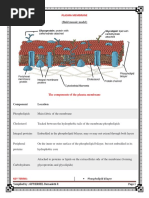 (Fluid Mosaic Model) : Plasma Membrane