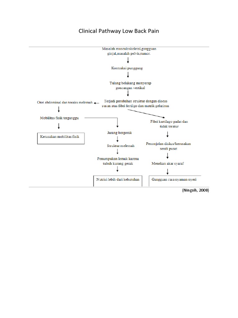 Clinical Pathway Low Back Pain | PDF