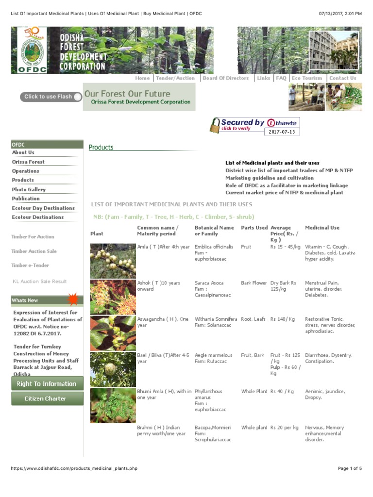 List Of Important Medicinal Plants Uses Of Medicinal Plant Plants