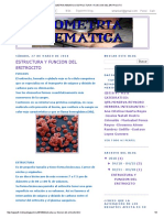 BIOMETRIA HEMATICA_ ESTRUCTURA Y FUNCION DEL ERITROCITO.pdf