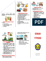 Leaflet Thypoid