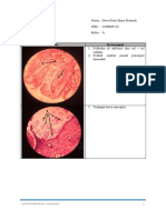 Laporan Praktikum Patosis - Integumen