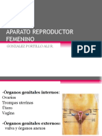 Aparato Reproductor Femenino