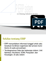 Erp An Finish