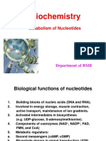 1.metab Nukleotida 1