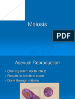 meiosis