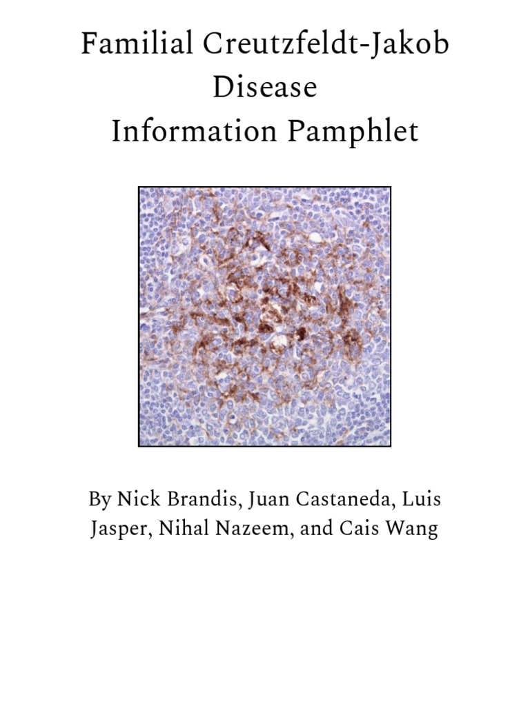 Familial CreutzfeldtJakob Disease 2f Protein Synthesis PDF Proteins Biochemistry