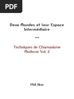 Techniques de Chamanisme Moderne Vol2