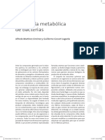 Ingenieria metabólica.pdf