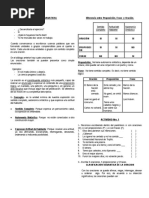 Clasificacion de La Oracion