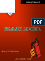 brigadas-nicolau_bello.pdf