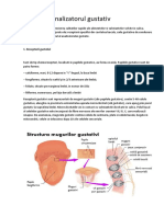 Analizatorul Gustativ