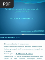 Eco Fetal