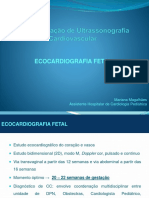 Eco Fetal