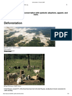 Deforestation - Threats - WWF