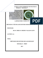 Practica I Tecnicas Hongos I-2017