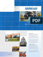Dragflow Espanol PDF