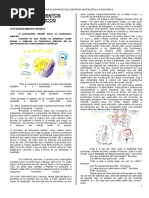 1 Conhecimentos Específicos Monitor