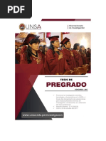 Bases de Tesis de PREGRADO