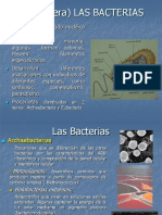 11 - Las Bacterias 2014 PDF