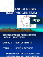 09-Organogenesis.ppt