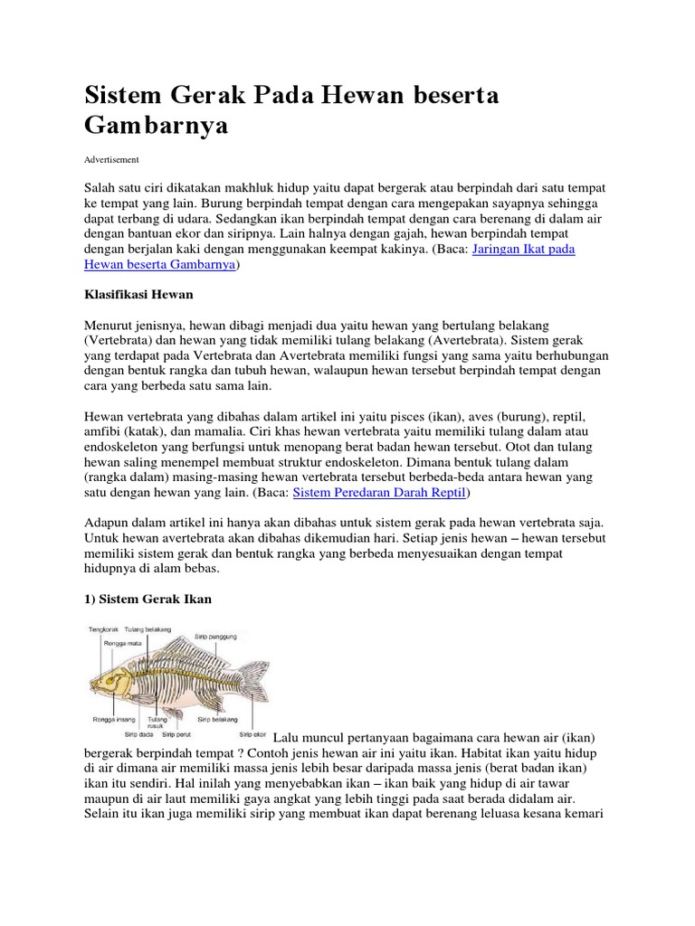 88 Hewan Tidak Bertulang Belakang Beserta Gambarnya Terbaru