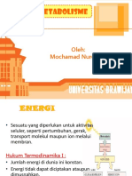 4 Biology Energy-and-Metabolisms PDF