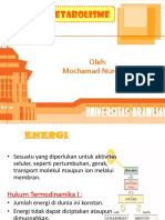 METABOLISME ENERGI