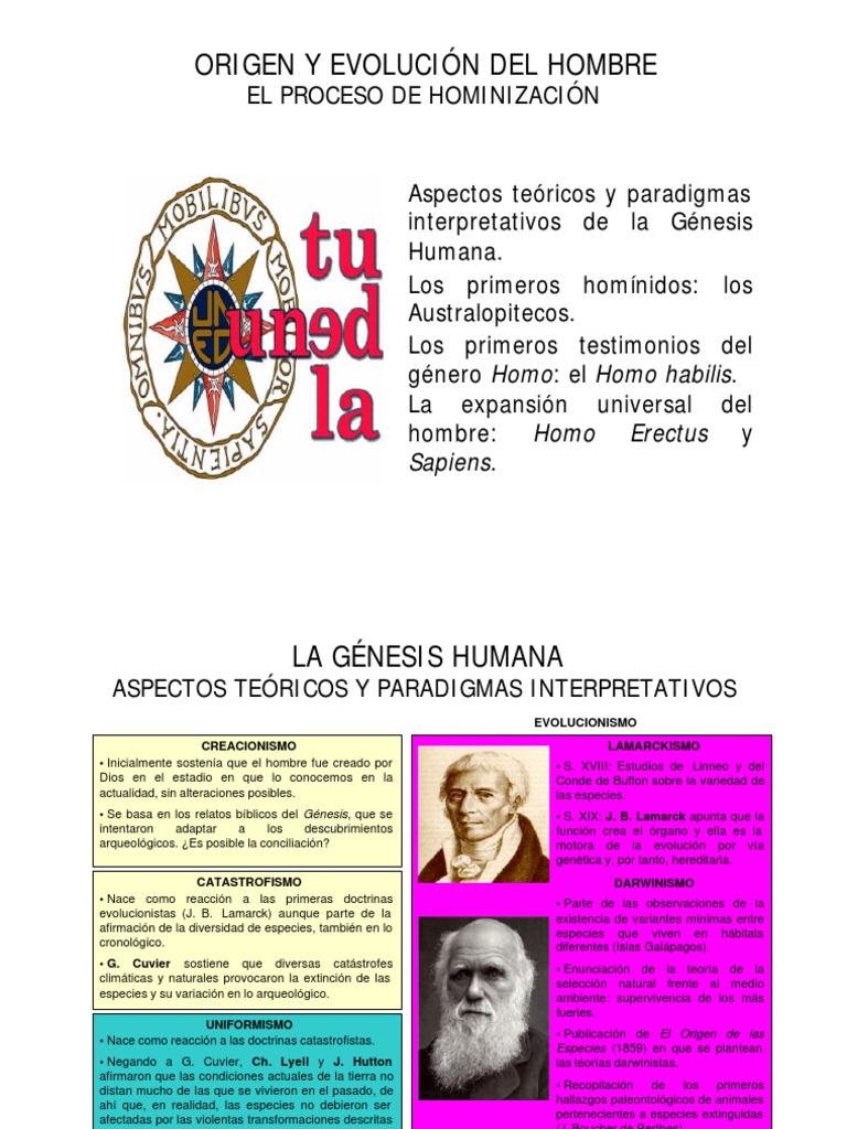 Origen y Evolución del Hombre | PDF | Evolución humana | Homo