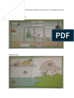 Analyze The Picture, Put Term/s That Will Best Suit Each Box To Complete The Cycle