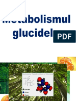 Glucide 1