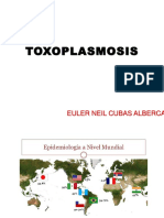 TOXOPLASMOSIS.pptx