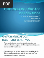 Fisiologia Dos Órgãos Dos Sentidos