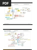 MP Atos Administraqtivos