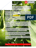 Exportación de Aguacate PDF