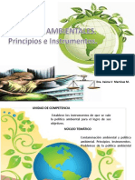 Las Políticas Ambientales. Principios e Instrumentos. Iraima V. Martínez M.