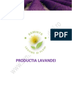 Lavanda v1..pdf