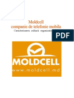142080731-Caracterizarea-Culturii-Organizationale-La-Moldcell-2.doc