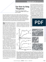 Bactéria Asenic.pdf